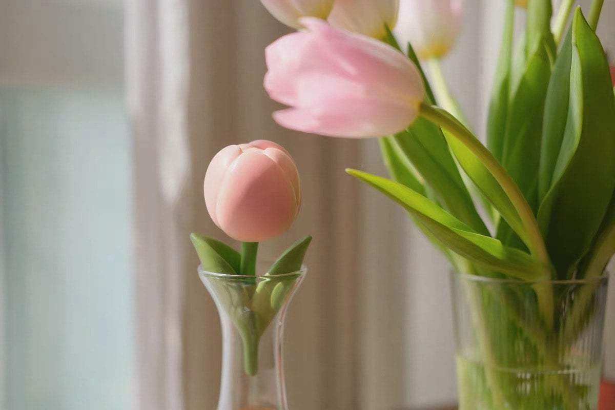 Planet Bear」Janeferジェニファノチューリップ チューリップ