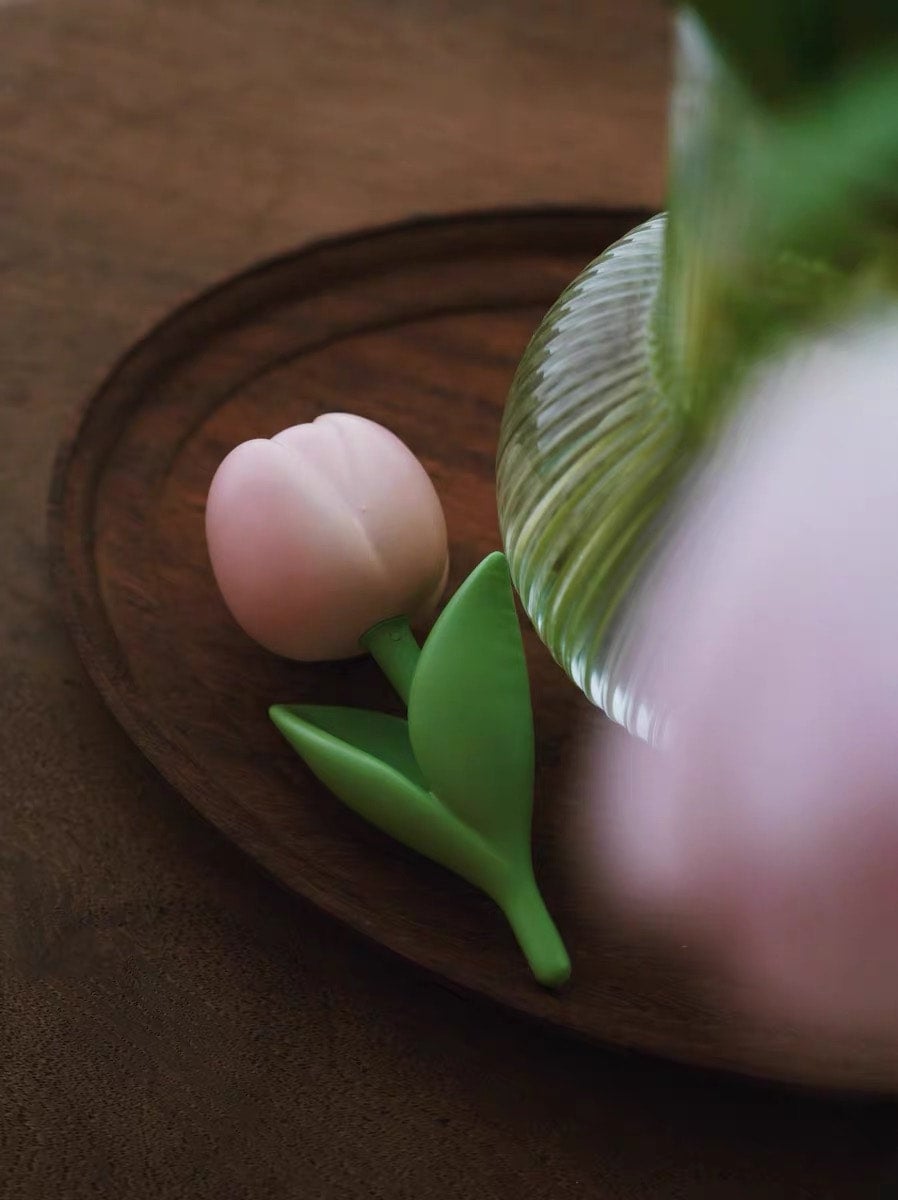 Planet Bear」Janeferジェニファノチューリップ チューリップ