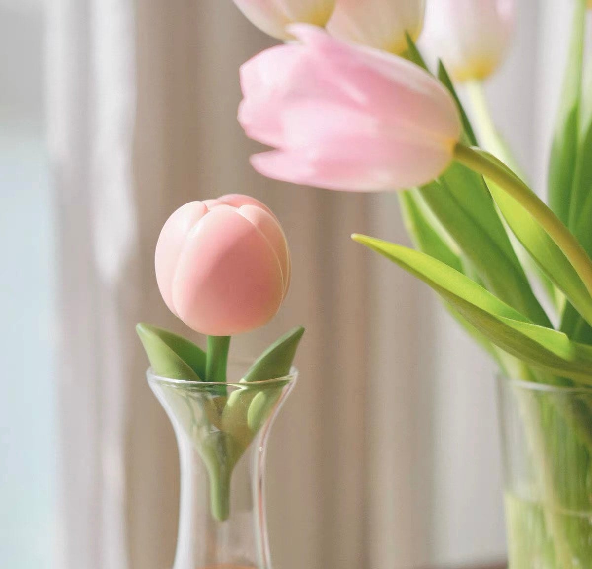 Planet Bear」Janeferジェニファノチューリップ チューリップ